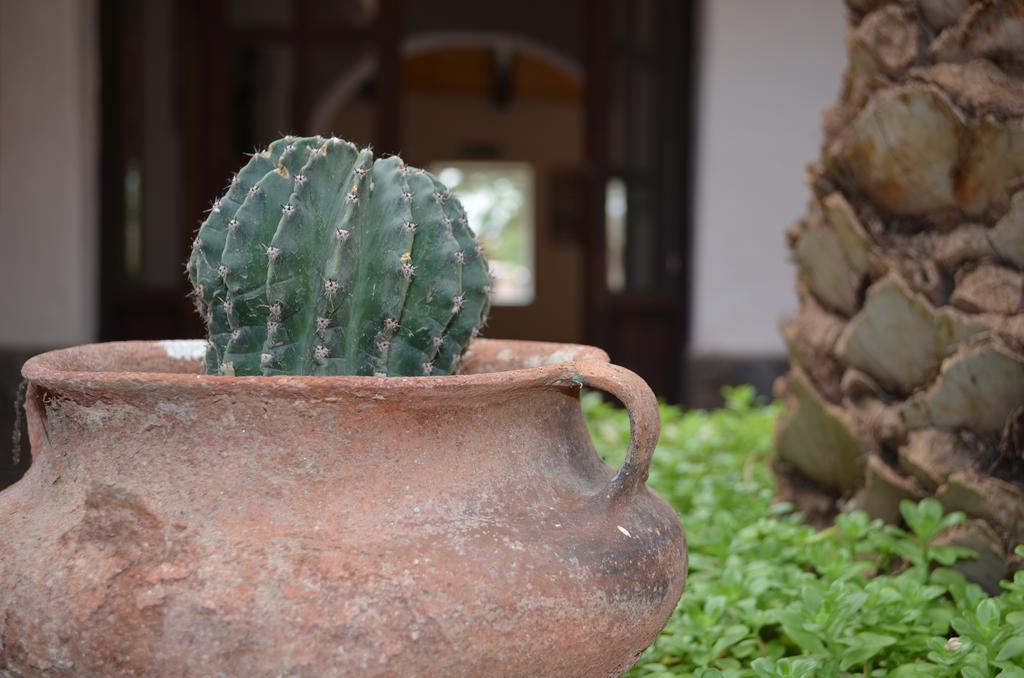 Finca El Carmen Vendégház Angastaco Kültér fotó