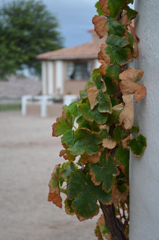 Finca El Carmen Vendégház Angastaco Kültér fotó