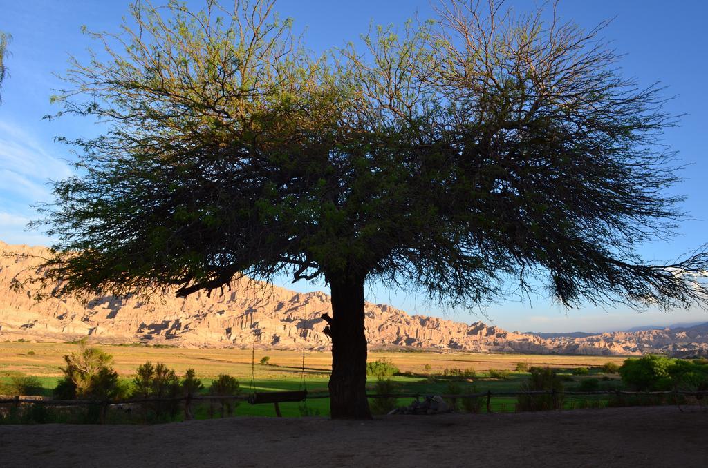 Finca El Carmen Angastaco Kültér fotó
